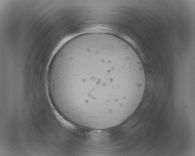 X0000080771478200701051249