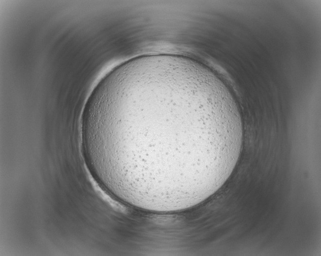 X0000080771479200701051249