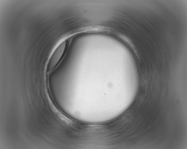 X0000080771483200701051249