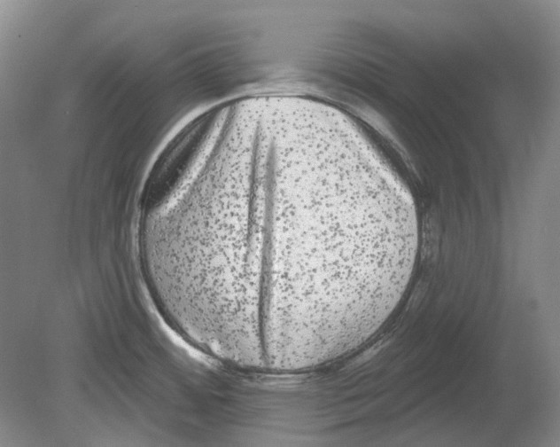 X0000080771484200701051249