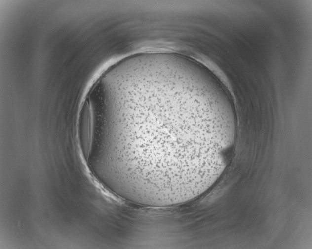 X0000080771488200701051249