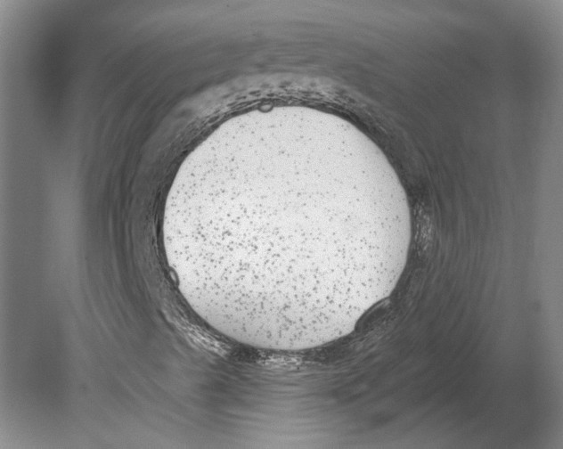 X0000080771489200701051248