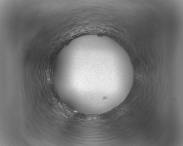 X0000080771490200701051248