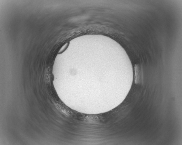 X0000080771491200701051248