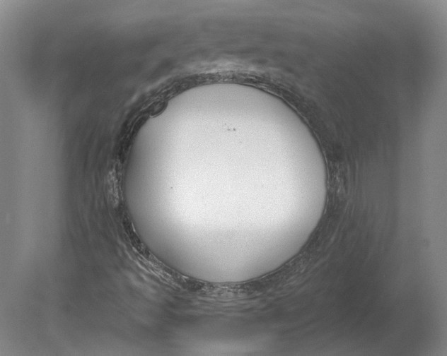 X0000080771493200701051248