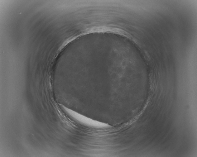 X0000080771497200701051248