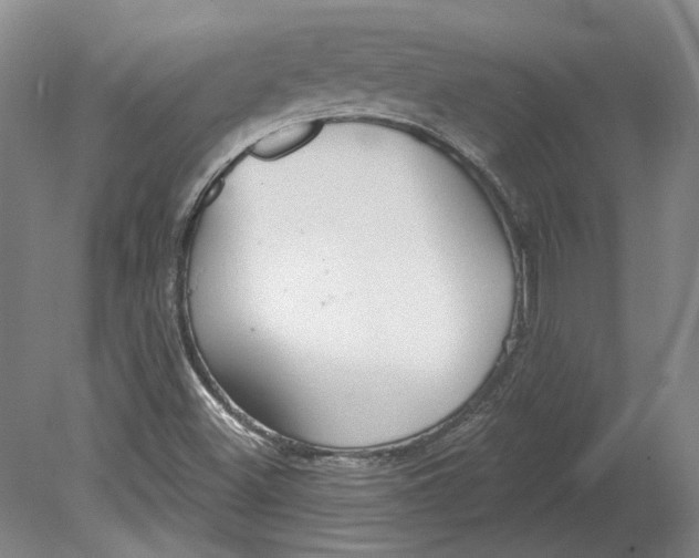 X0000080771500200701051248