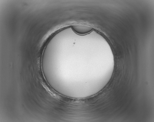 X0000080771503200701051248