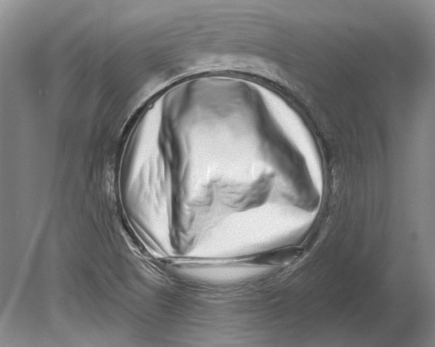 X0000080771505200701051248