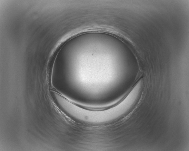 X0000080771506200701051248