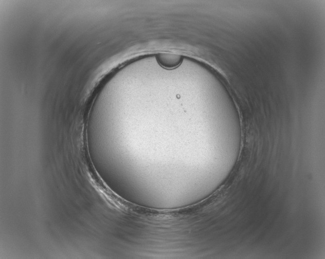 X0000080771507200701051248