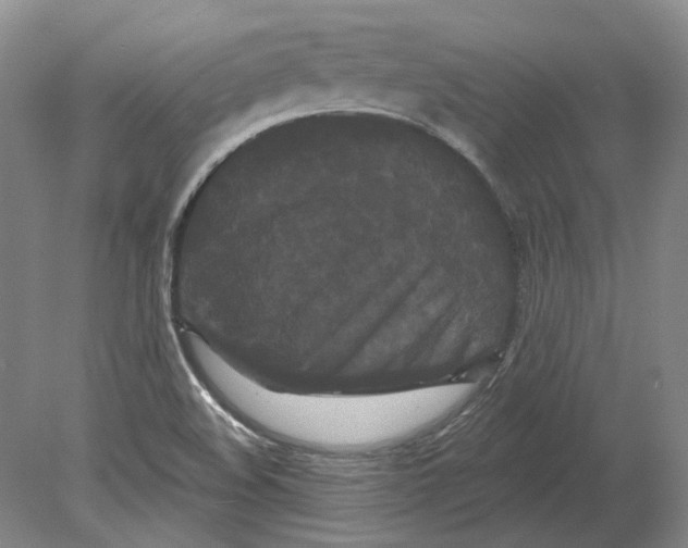 X0000080771508200701051248