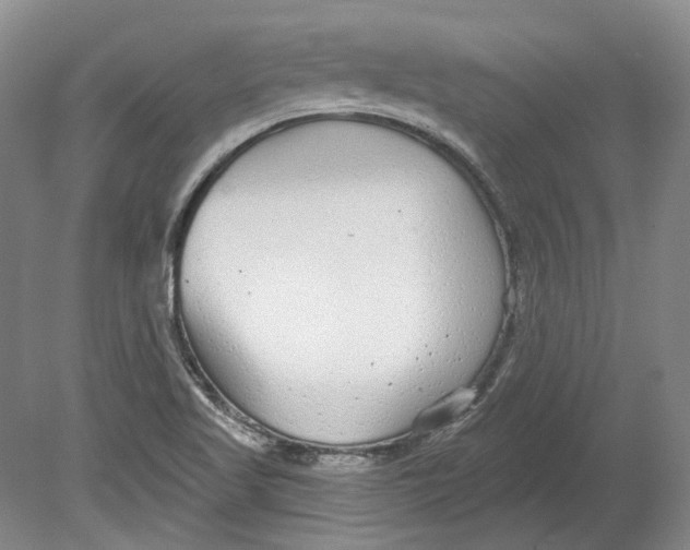 X0000080771509200701051248