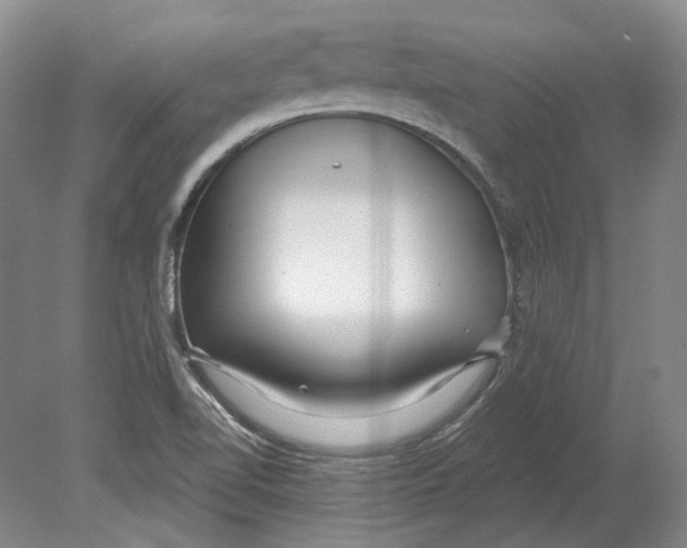 X0000080771510200701051248