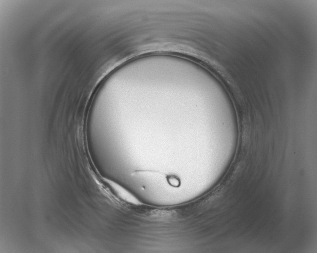 X0000080771513200701051248