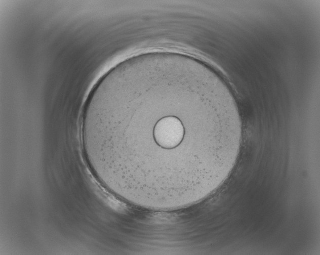 X0000080771514200701051248