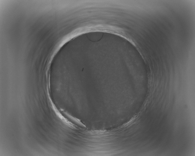 X0000080771515200701051248