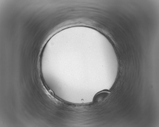 X0000080771516200701051248