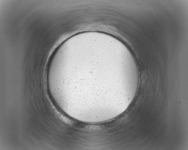 X0000080771517200701051248