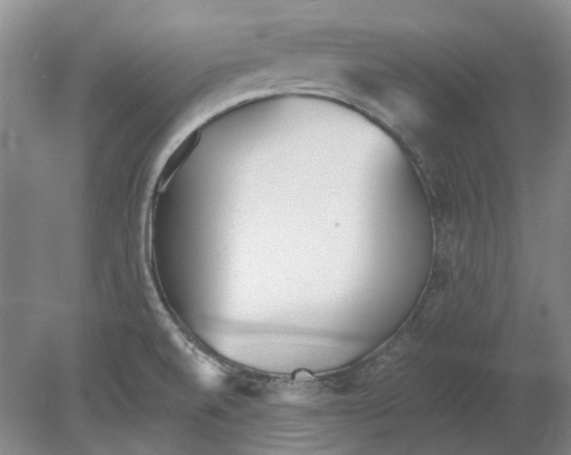 X0000080771520200701051248