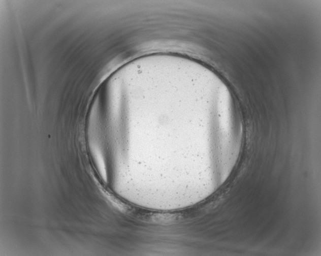 X0000080771521200701051248