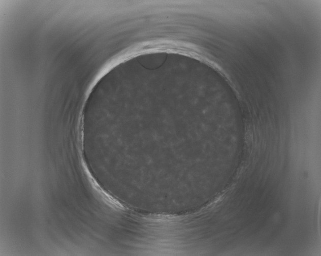 X0000080771522200701051249