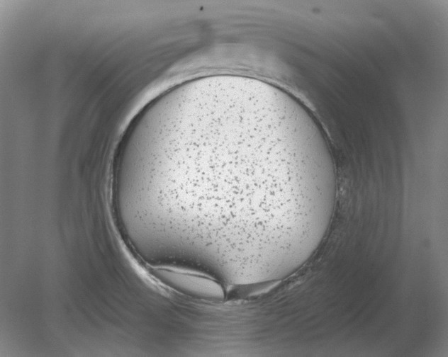 X0000080771523200701051249