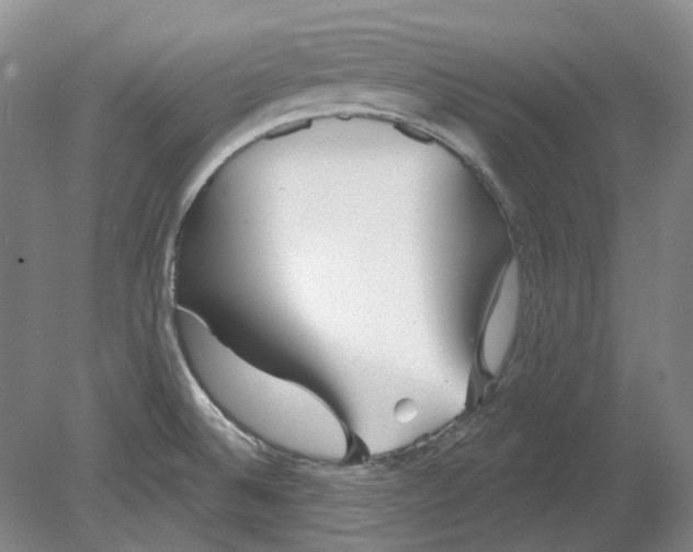 X0000080771524200701051249