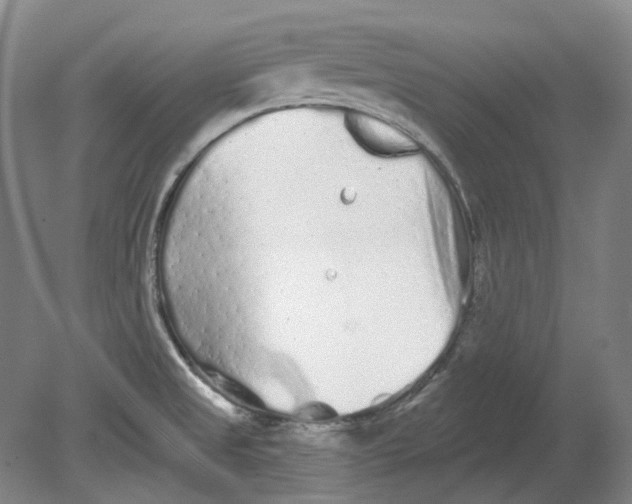 X0000080771525200701051249