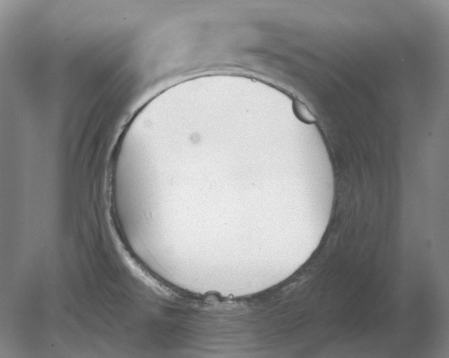 X0000080771526200701051249