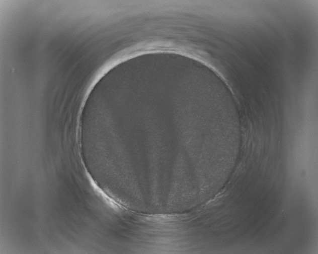 X0000080771527200701051249