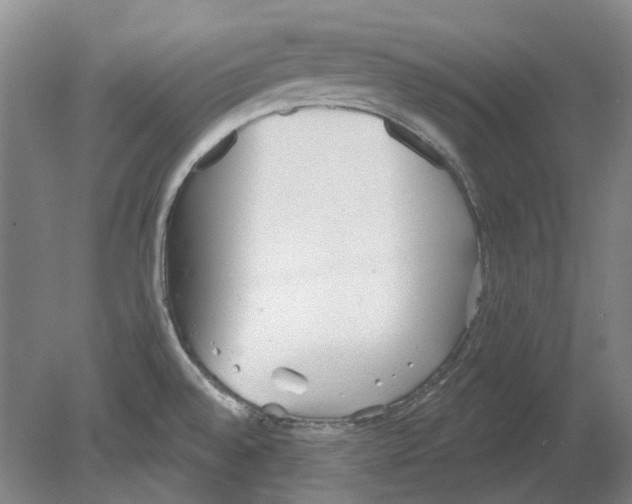 X0000080771528200701051249