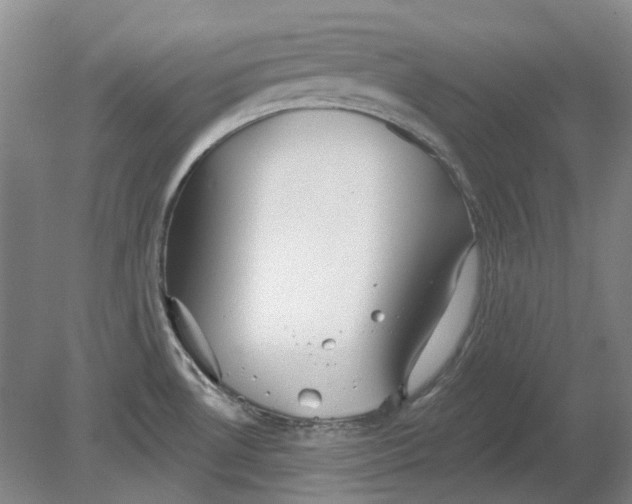 X0000080771530200701051249