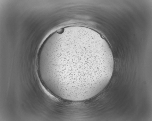 X0000080771531200701051249