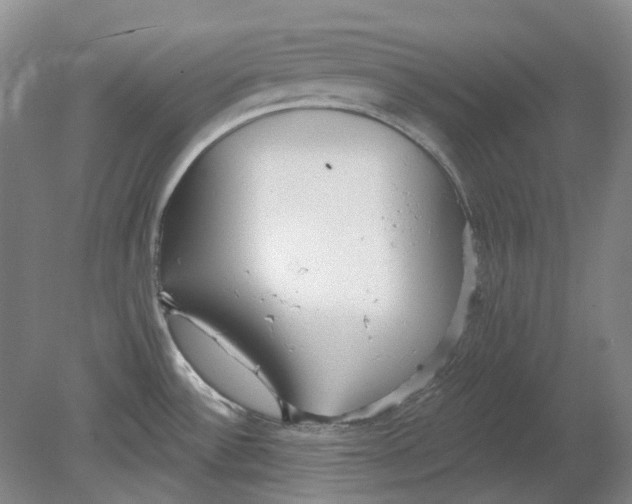 X0000080771532200701051249