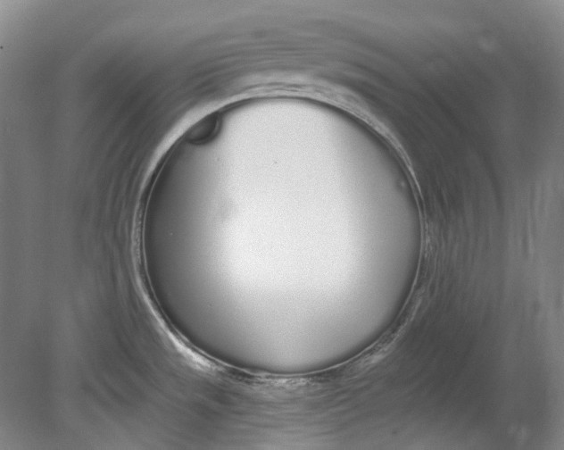 X0000080771533200701051249