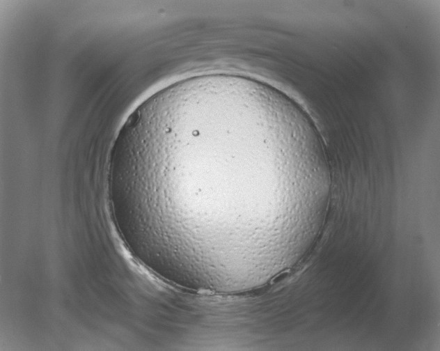 X0000080771534200701051249