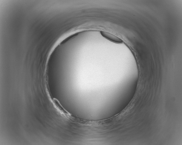 X0000080771536200701051249