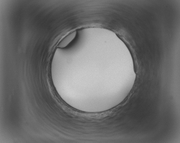 X0000080770001200701122107