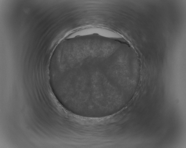 X0000080770002200701122107