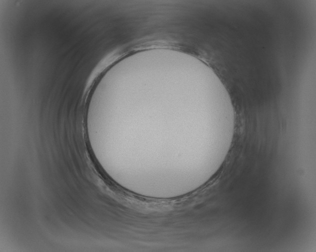 X0000080770004200701122107
