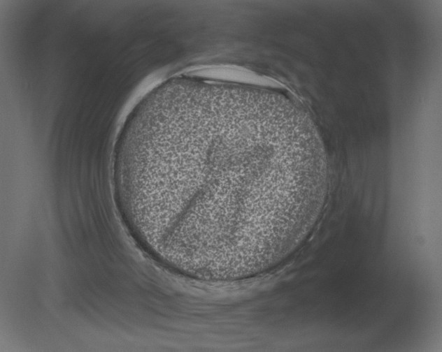 X0000080770006200701122107