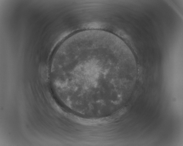 X0000080770012200701122107