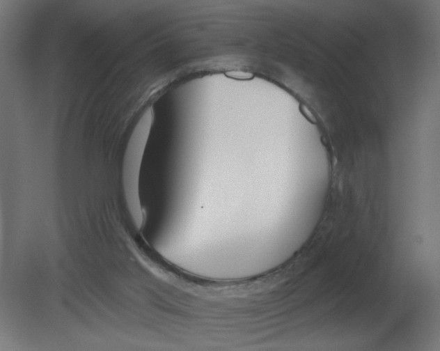 X0000080770013200701122107