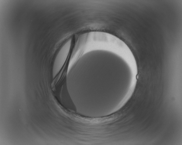 X0000080770019200701122107