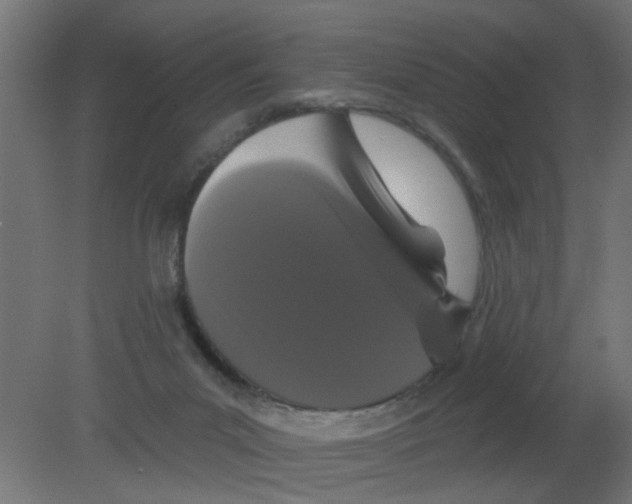 X0000080770023200701122107