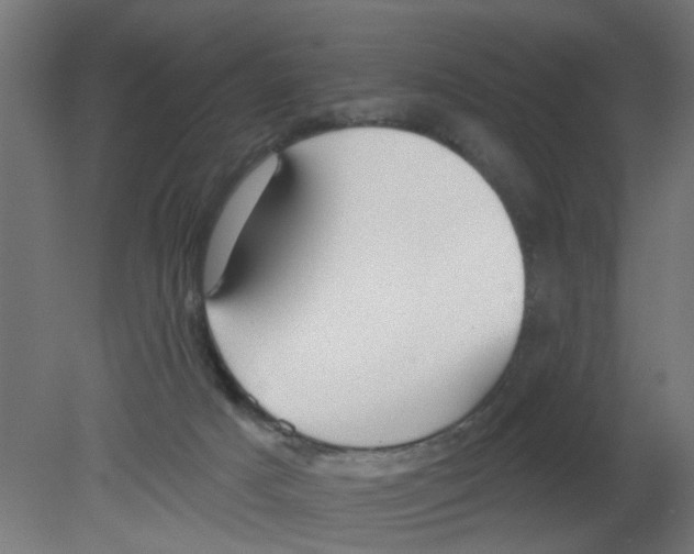 X0000080770025200701122107