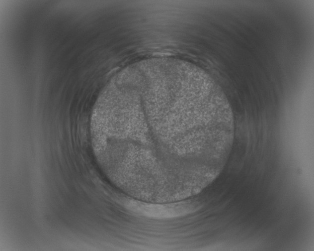 X0000080770030200701122107