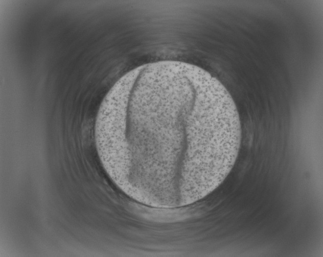 X0000080770034200701122107