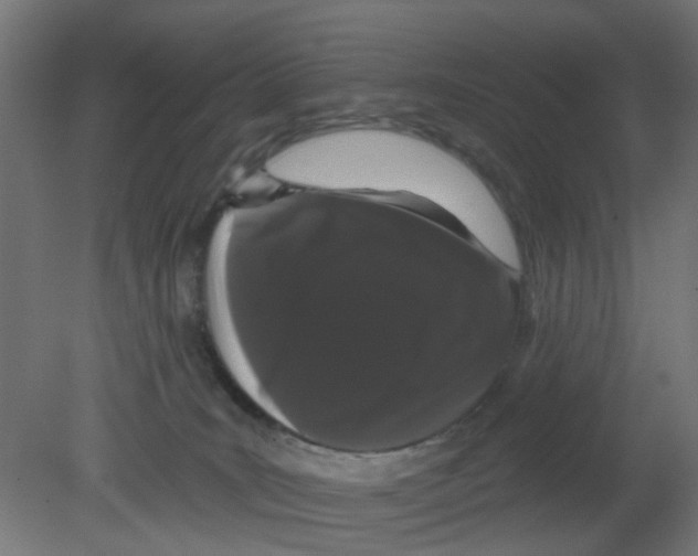 X0000080770035200701122107